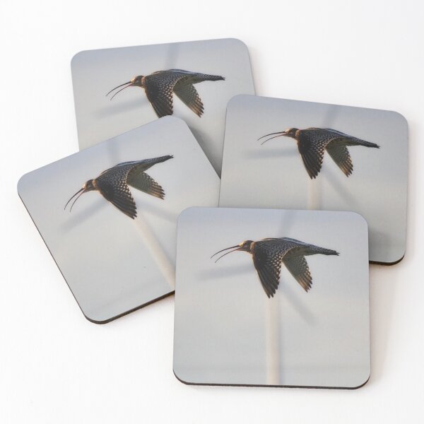 Item preview, Curlew in flight designed and sold by Alan Mackinnon.