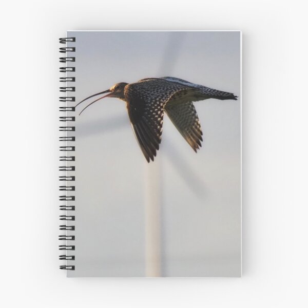 Item preview, Curlew in flight designed and sold by Alan Mackinnon.