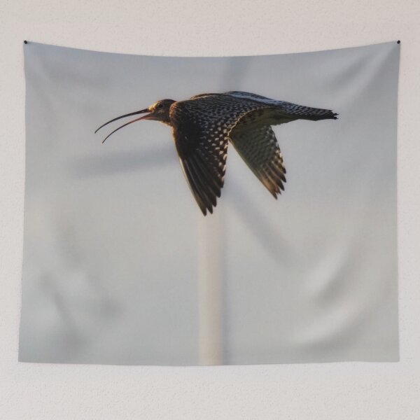 Item preview, Curlew in flight designed and sold by Alan Mackinnon.