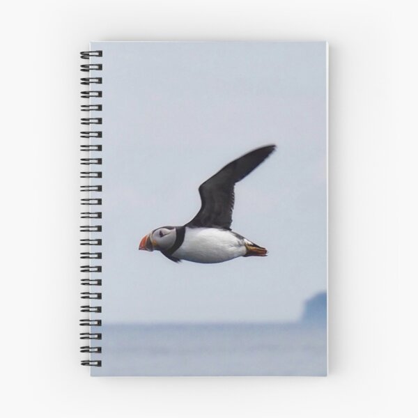 Item preview, Puffin in flight designed and sold by Alan Mackinnon.
