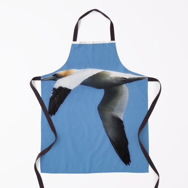Item preview, Gannet in flight at Cantick Head designed and sold by Alan Mackinnon.