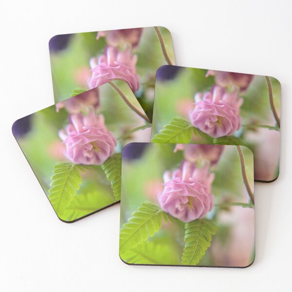 Item preview, Blossom of a Aquilegia designed and sold by pASob-dESIGN.