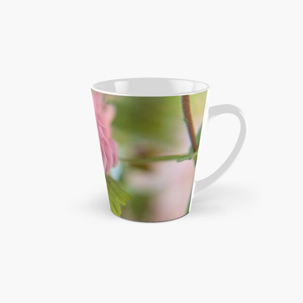 Blossom of a Aquilegia Tall Mug