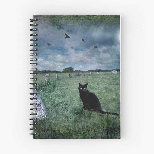 Item preview, Cornish Witches cat designed and sold by Angie Latham.