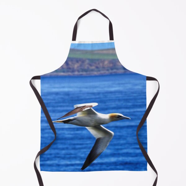 Item preview, Gannet in flight at Cantick Head designed and sold by Alan Mackinnon.