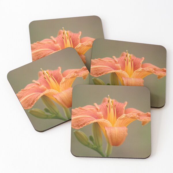 Item preview, Orange Asiatic Lily designed and sold by pASob-dESIGN.