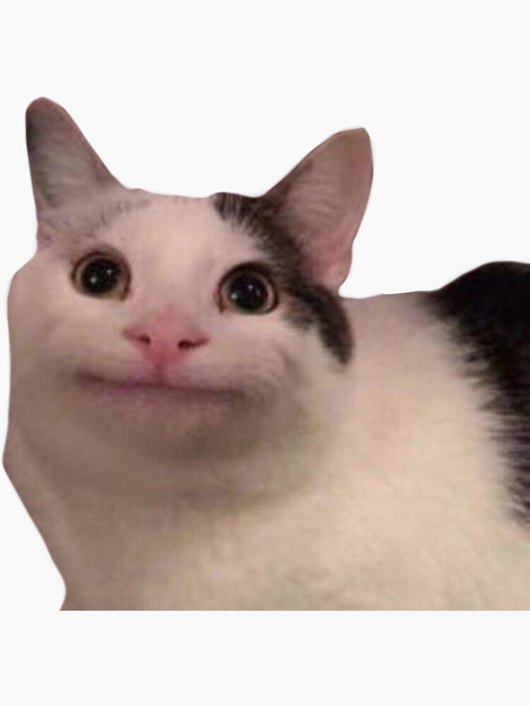 "Wholesome Cat Smiling Cute Meme" Sticker for Sale by DefinitionDump