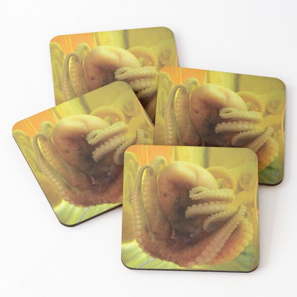 Item preview, pickled octopus designed and sold by 1CONOCLA5T.