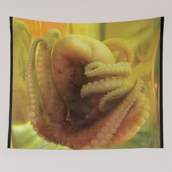 Item preview, pickled octopus designed and sold by 1CONOCLA5T.