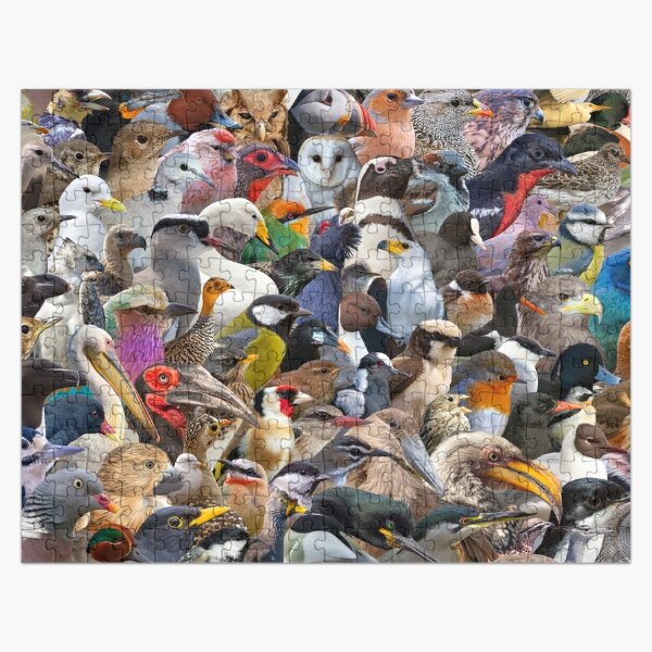 Just Birds Jigsaw Puzzle