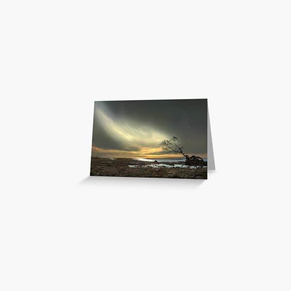 Persistence Of Life Greeting Card