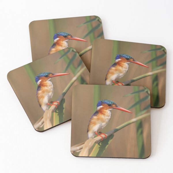 Item preview, Malachite Kingfisher designed and sold by Wouter van Spijker.
