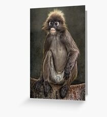 Cheeky Monkey Grußkarte