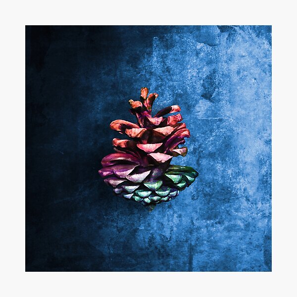 Item preview, Conifer cone painting designed and sold by pallkris.