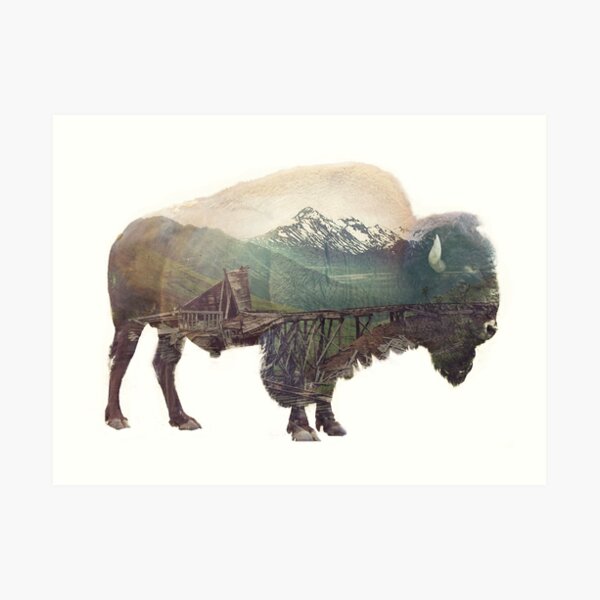 Bison and Independence Mine Art Print