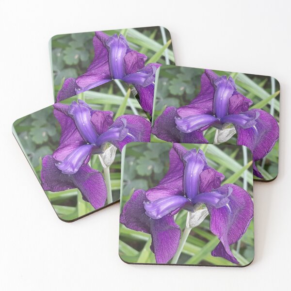 Item preview, Purple Iris 1 designed and sold by Pickle-Mouse.