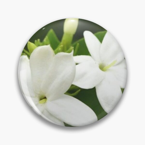 Item preview, Jasmine flower corner designed and sold by Coinfleuri.