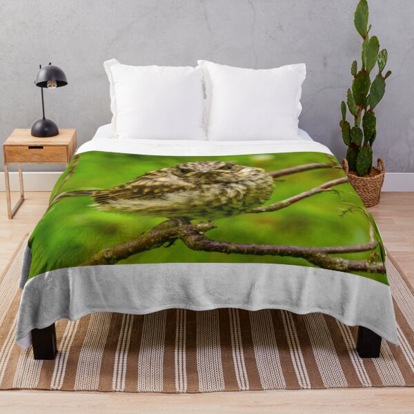 Item preview, Young bird Thrush on a branch designed and sold by yarvin13.