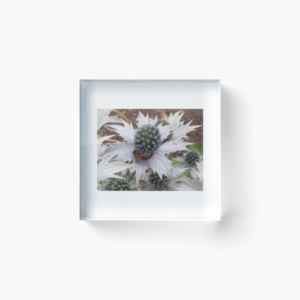 Item preview, Thistle & Honeybee designed and sold by Pickle-Mouse.