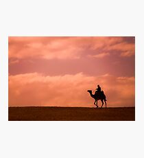 Lámina fotográfica Sunset Camel Rider