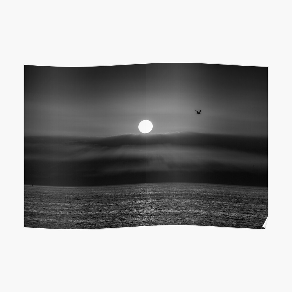 Sticker Coucher De Soleil Noir Et Blanc Plage Par Nrartgraph Redbubble