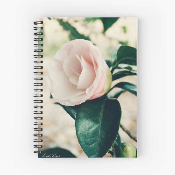 Item preview, Camellia designed and sold by Linda Lees.