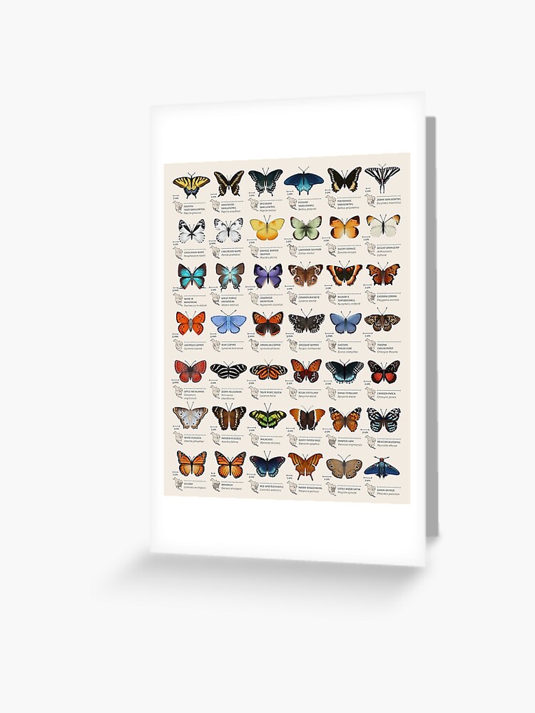 WREESH Carte de voeux papillon 3D créative carte-cadeau d