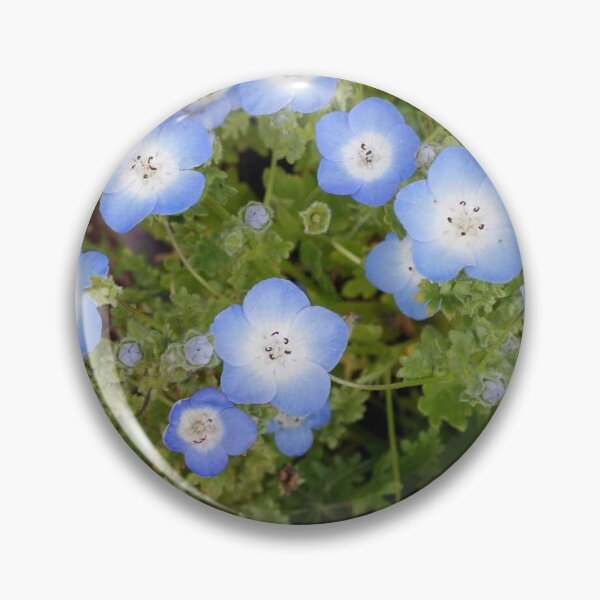 Item preview, Nemophille flower corner designed and sold by Coinfleuri.