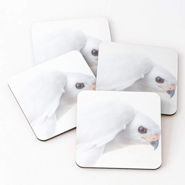 Item preview, grey goshawk designed and sold by amfphotography.