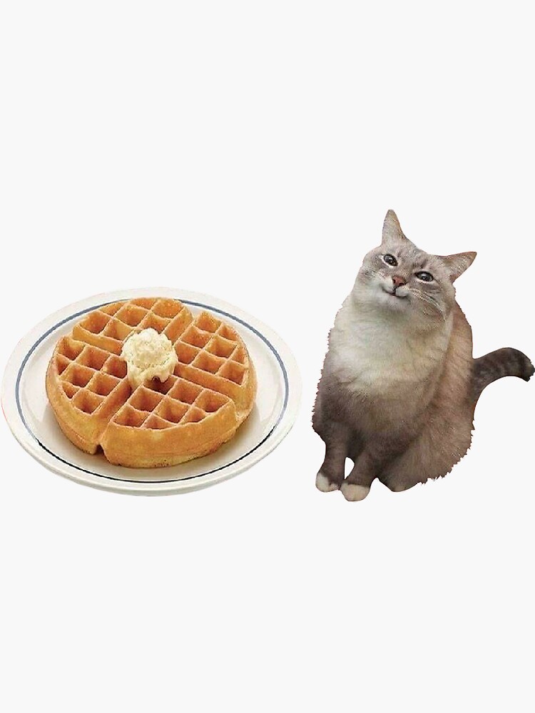"Grandma Pancake Happy Chubby Cat Meme" Sticker for Sale by