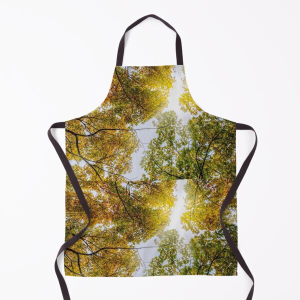 Item preview, Sunlight Through Autumn Sugar Maples designed and sold by mljdwhite.