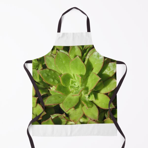 Item preview, Succulent Plant - Aeonium 'Red Edge' designed and sold by Clintpix.