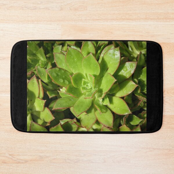 Item preview, Succulent Plant - Aeonium 'Red Edge' designed and sold by Clintpix.