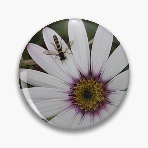 Item preview, Osteospermum (African Daisy) With Hoverfly designed and sold by Pickle-Mouse.