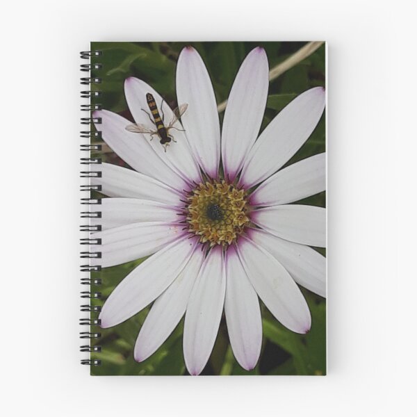 Item preview, Osteospermum (African Daisy) With Hoverfly designed and sold by Pickle-Mouse.