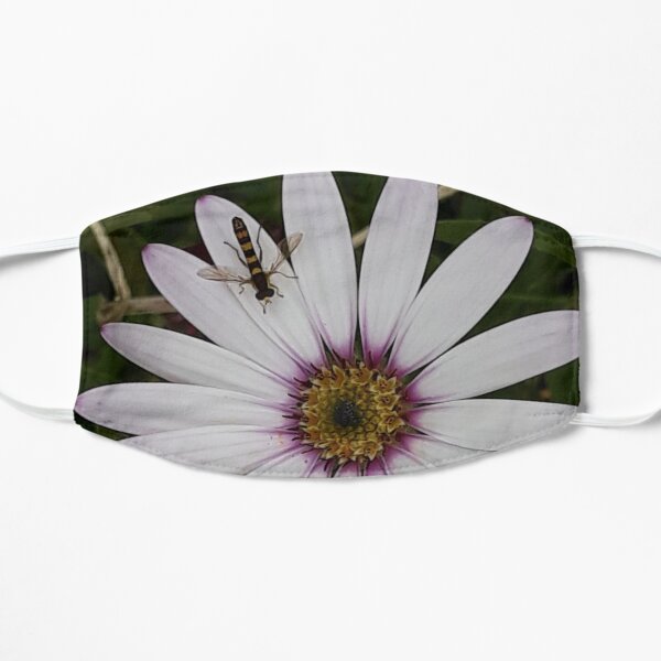 Osteospermum (African Daisy) With Hoverfly Flat Mask
