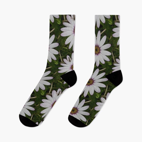Item preview, Osteospermum (African Daisy) With Hoverfly designed and sold by Pickle-Mouse.