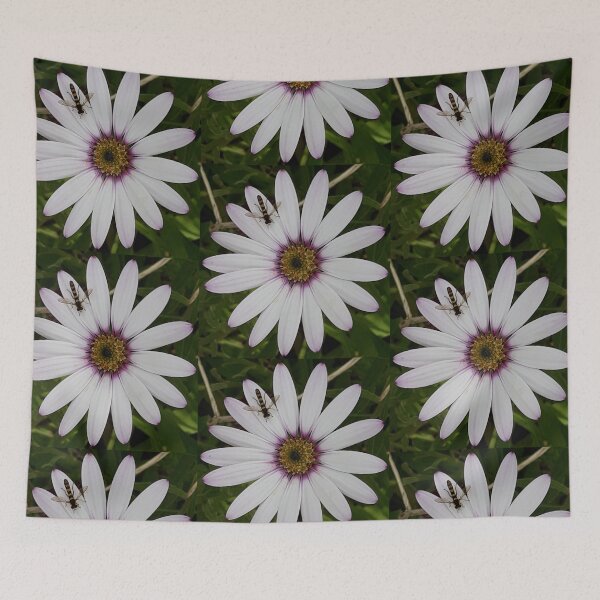Item preview, Osteospermum (African Daisy) With Hoverfly designed and sold by Pickle-Mouse.