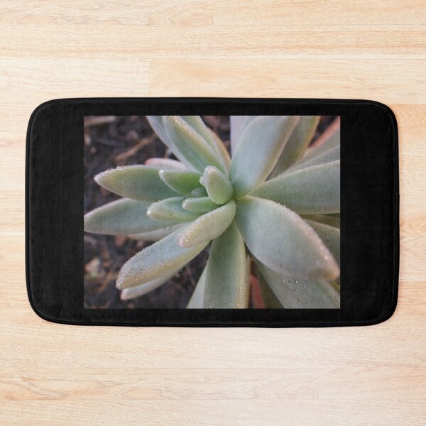 Item preview, Succulent Plant - Echeveria 2 designed and sold by Clintpix.