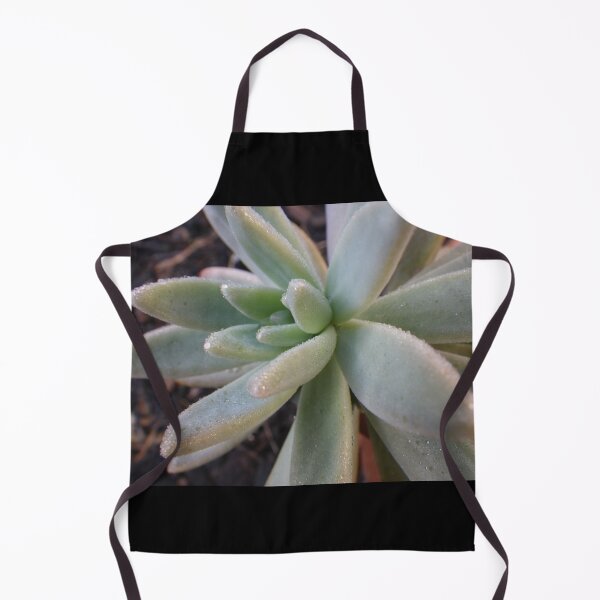 Item preview, Succulent Plant - Echeveria 2 designed and sold by Clintpix.