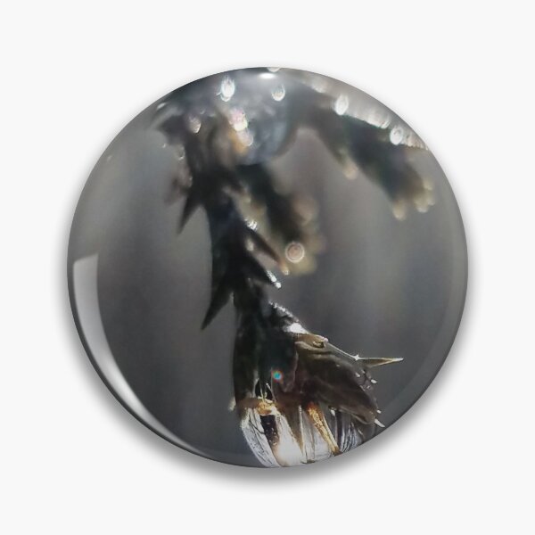 Item preview, Sunlight reflected designed and sold by ChatStroh.