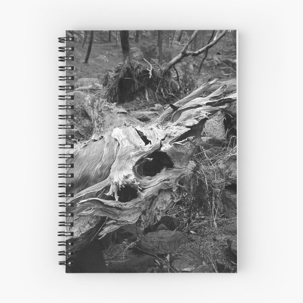 Item preview, Nature's Sculpture designed and sold by Linda Lees.