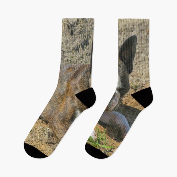 Item preview, Young Boston Terrier designed and sold by Photopat.