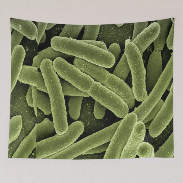 Item preview, Biology Teacher PTA Cultured Bacteria Gift designed and sold by TravelTemple.