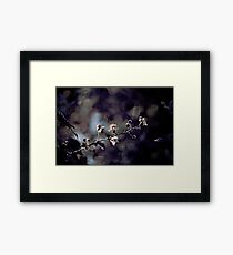 Macro Framed Print