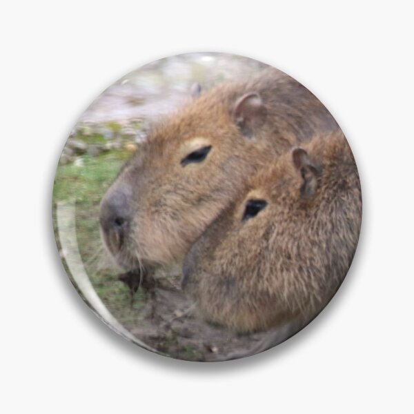 Item preview, Capybaras designed and sold by Jamcolors.