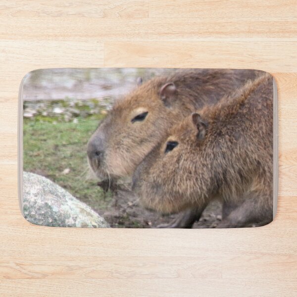 Item preview, Capybaras designed and sold by Jamcolors.