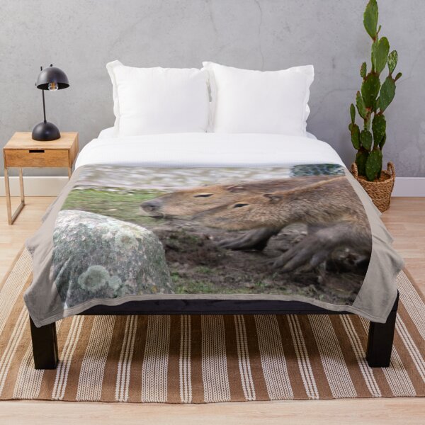 Item preview, Capibaras designed and sold by Jamcolors.