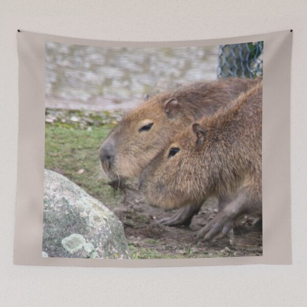 Item preview, Capybaras designed and sold by Jamcolors.