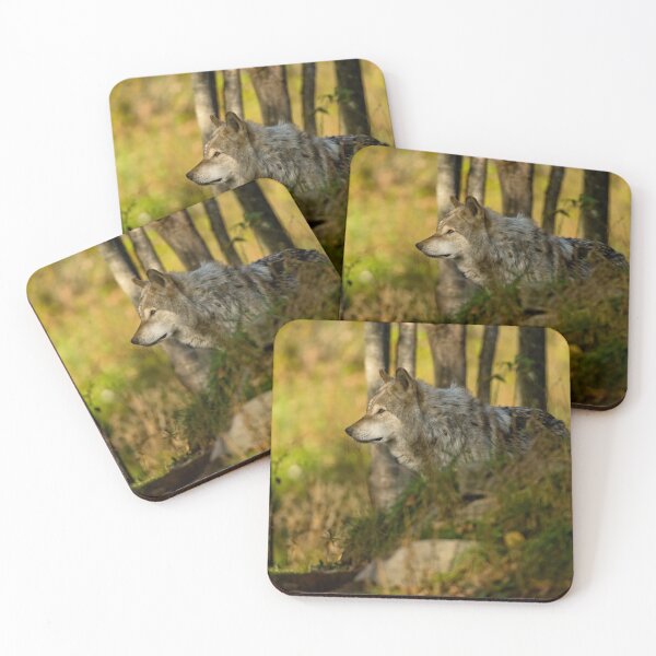 Item preview, Timber Wolf In The Forest designed and sold by WolvesOnly.